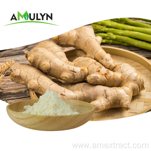Zingiber officinale Extract Ginger Root Extract Powder
